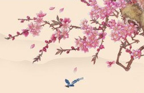 車牌4其實非常吉利 值錢旺運的熱門牌號