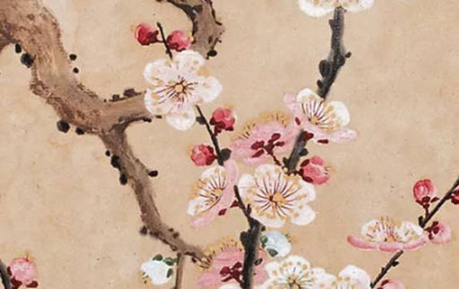 六月六生日的男孩命運 晚年安樂享長壽之命