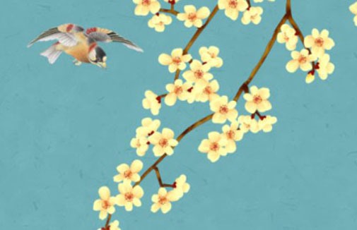 車牌號字母組合忌諱 有財富運數的車牌號