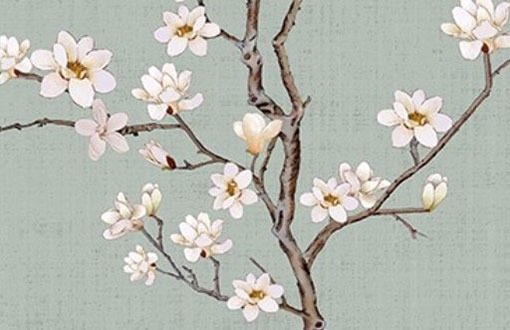 選車牌號碼吉利數字 常見號碼吉凶對照表