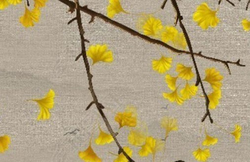 手機尾號帶0好嗎 財運最強的手機號碼