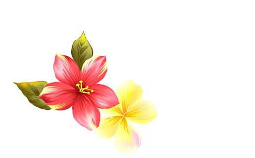 午時出生的女孩是什麼命 午時出生的女孩能夠自立門戶