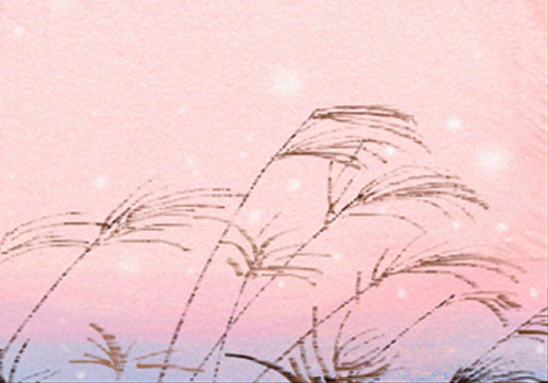 光棍節最不宜做的三件事