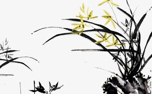 備孕2022年虎寶寶 四月出生的虎寶寶很有責任心