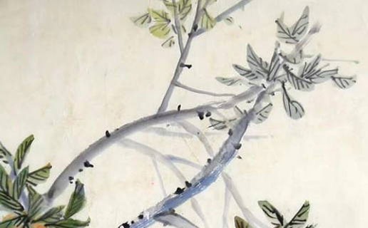 牛年午時出生的女孩五行缺什麼 午時出生的女寶寶性格與命運如何