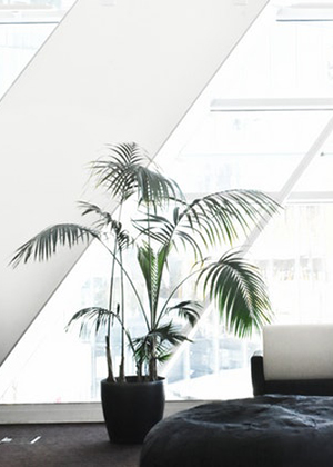 辦公室風水擺設，五百強企業都是怎麼布置的？