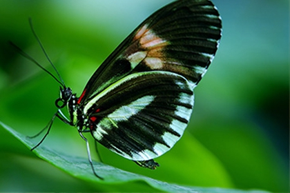 給關公開光怎麼開法 需要注意什麼