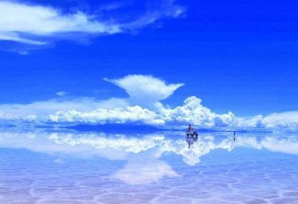 店鋪中發財樹應該怎麼養？