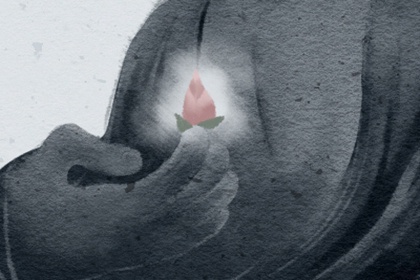 辦公室擺什麼植物旺事業