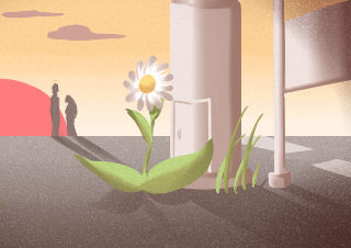 如何在蛇年裡升旺正桃花運