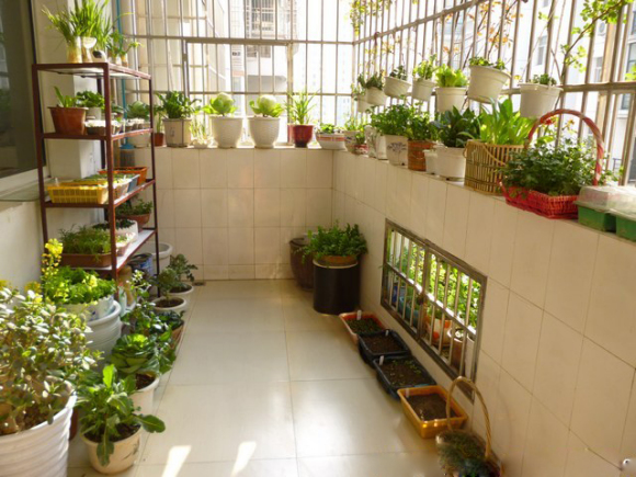 陽台盆栽擺放設計圖