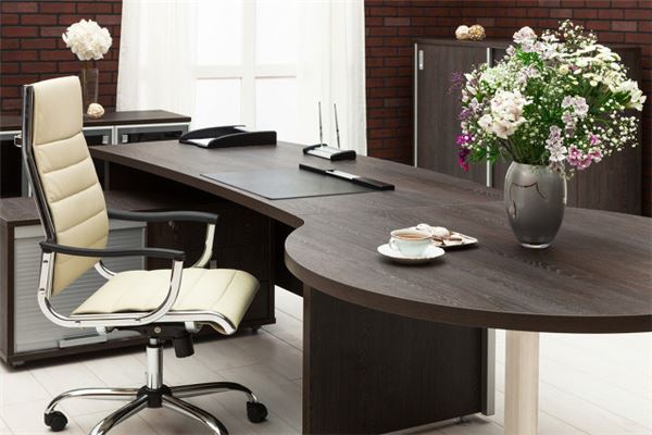 辦公室風水植物擺設的6大禁忌