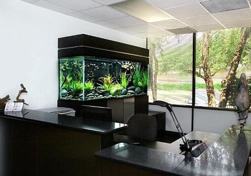 辦公室風水魚缸