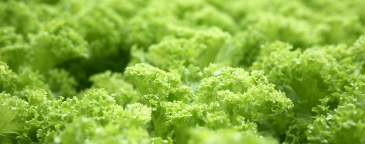 廚房風水:廚房風水的講究和灶台的擺放