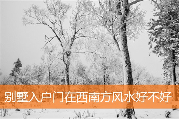 別墅入戶門在西南方風水好不好