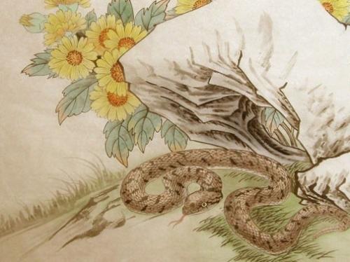 無災無難富貴吉祥 有蛇盤踞的房子竟有這種意頭