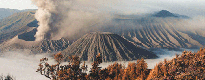 辦公桌風水擺設知識