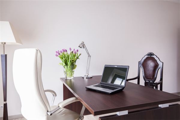 辦公室放什麼花最旺財有何禁忌