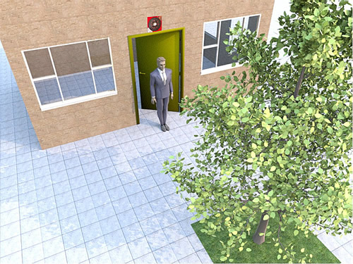 大門正對大樹的化解方法