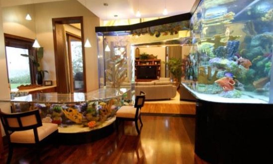魚缸應該擺在客廳的什麼位置合適