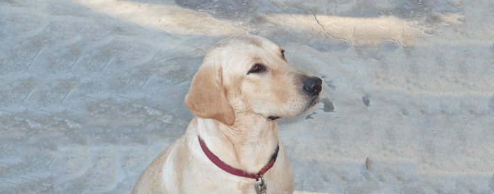 家裝風水知識大全介紹