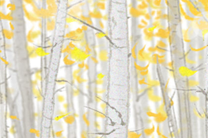 如何提升夫妻婚姻感情運勢？