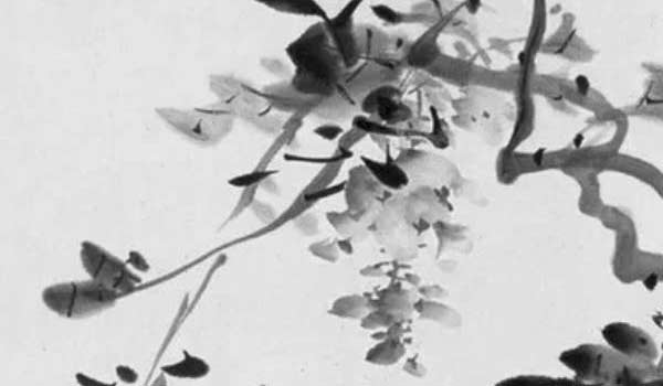 店鋪進門看到什麼最好 綠植整體生活成功