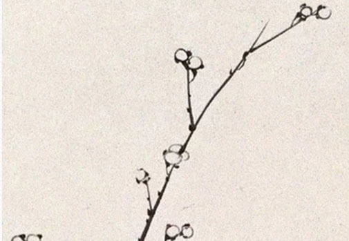 測試車牌號碼值多少錢 最准車牌號碼吉凶判斷