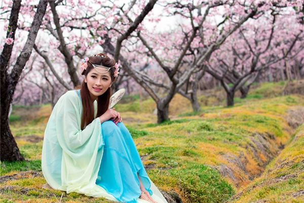 2016年桃花風水布局