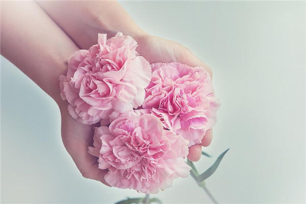 鮮花擺放風水講究