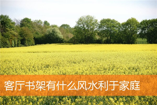 客廳書架有什麼風水利於家庭