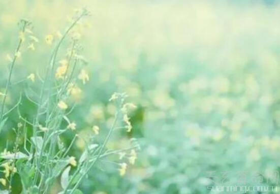 摩羯座生日密碼解析 不同日期出生的摩羯座性格大揭發