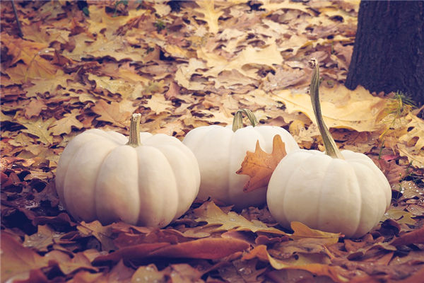 家裡擺南瓜擺件好不好