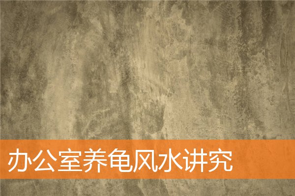 辦公室養龜風水講究