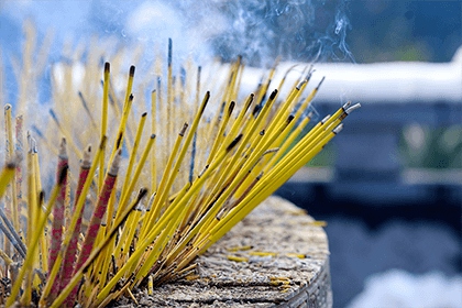 貓不請自來兆頭好嗎 貓不請自來的寓意解析