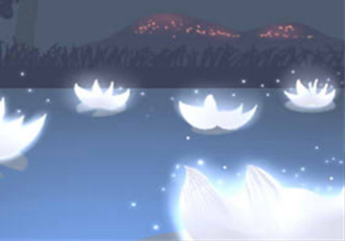 安置寵物小屋的禁忌