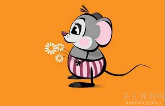 屬鼠人出生日的命運  屬鼠人出生比較好的日子和時辰解析
