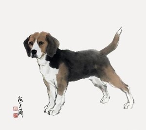 把自來狗趕走的預兆 哪些是好運預兆