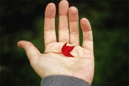 本命年紅繩中間能換嗎 不戴紅繩會怎樣