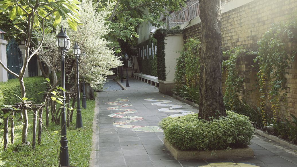 庭院內樹木砍伐的禁忌 庭院內的風水忌諱