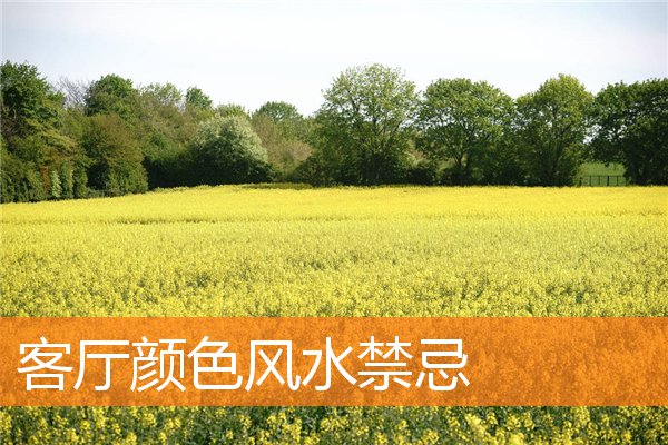 客廳顏色風水禁忌