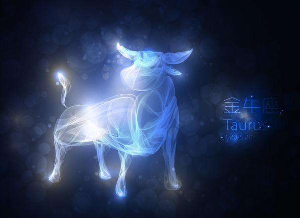 十二星座生日密碼解析