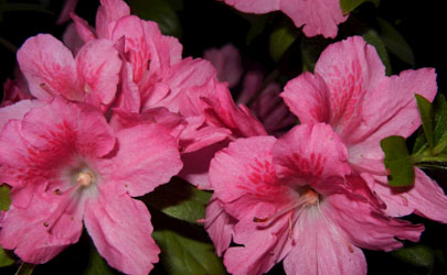 霉運即將過去前的預兆