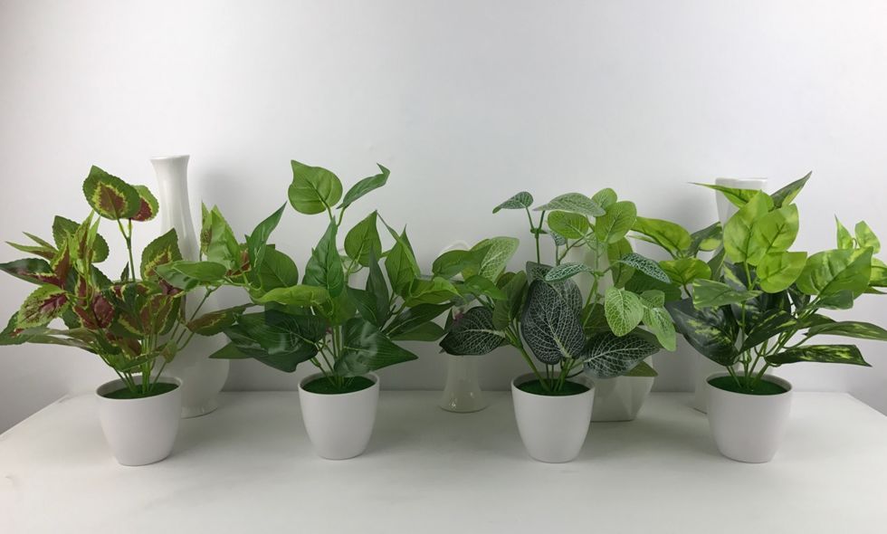 財運不好的時候怎樣提升財運