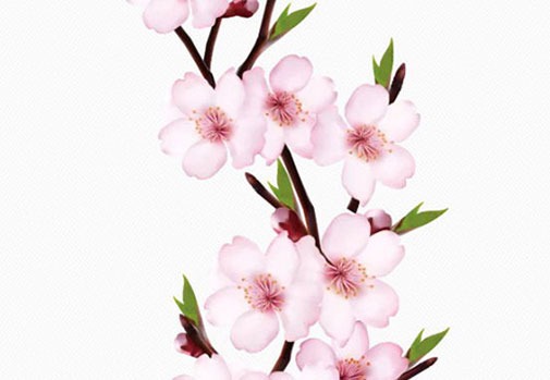 木命手機號碼尾數 選好吉祥號碼的技巧