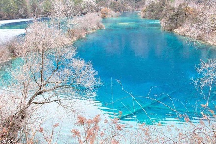 豬槽子風水作用,放在店裡哪個位置?