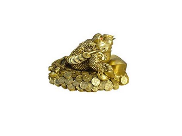 茶寵金蟾怎麼擺放對財運好?金蟾是青蛙嗎?