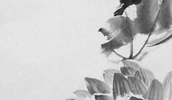 客廳為什麼要隔斷風水