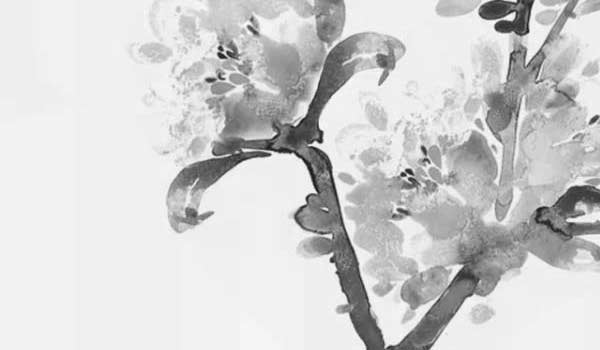 大門口不能放三樣東西