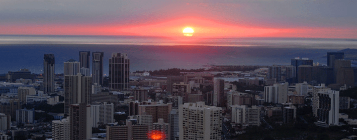 這五種花擺放在床頭可使你桃花運旺盛
